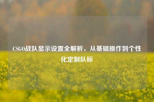 CSGO战队显示设置全解析，从基础操作到个性化定制队标