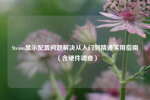 Steam显示配置问题解决从入门到精通实用指南(含硬件调查)