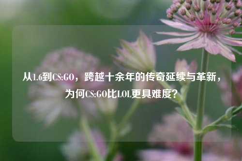 从1.6到CS:GO,跨越十余年的传奇延续与革新,为何CS:GO比LOL更具难度?