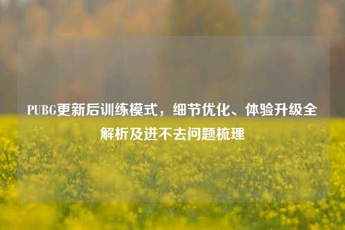 PUBG更新后训练模式,细节优化、体验升级全解析及进不去问题梳理