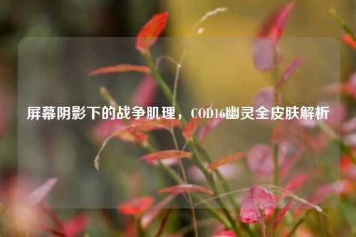 屏幕阴影下的战争肌理,COD16幽灵全皮肤解析