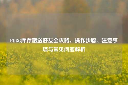 PUBG库存赠送好友全攻略,操作步骤、注意事项与常见问题解析