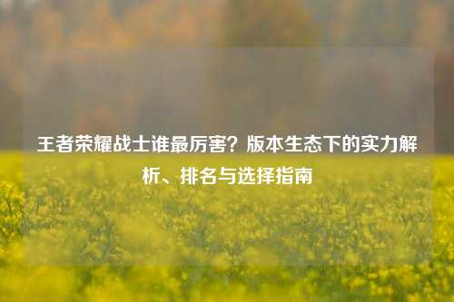 王者荣耀战士谁最厉害？版本生态下的实力解析、排名与选择指南