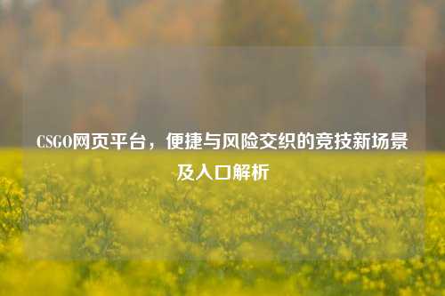 CSGO网页平台，便捷与风险交织的竞技新场景及入口解析