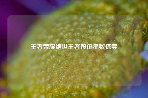 王者荣耀绝世王者段位星数探寻