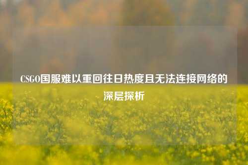 CSGO国服难以重回往日热度且无法连接网络的深层探析