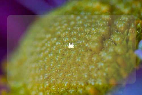 星