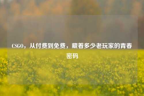 CSGO，从付费到免费，藏着多少老玩家的青春密码