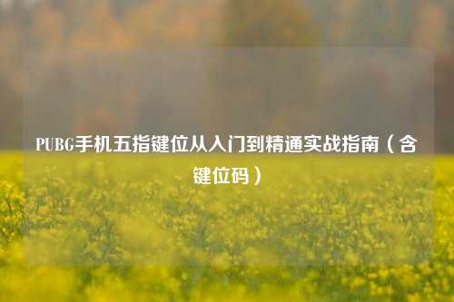 PUBG手机五指键位从入门到精通实战指南（含键位码）