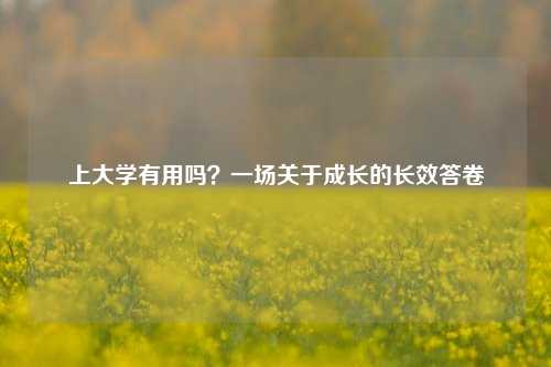 上大学有用吗？一场关于成长的长效答卷