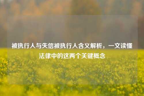 被执行人与失信被执行人含义解析,一文读懂法律中的这两个关键概念