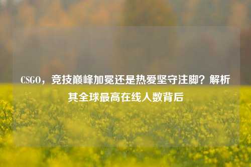 CSGO，竞技巅峰加冕还是热爱坚守注脚？解析其全球最高在线人数背后