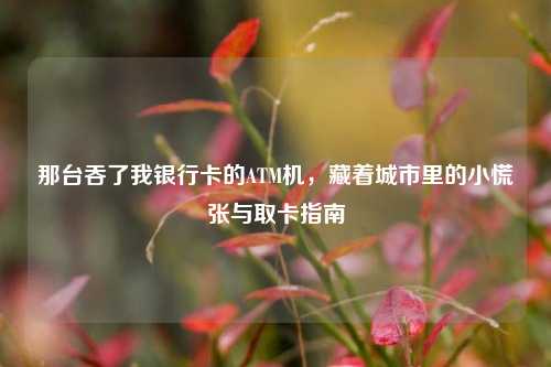 那台吞了我银行卡的ATM机，藏着城市里的小慌张与取卡指南