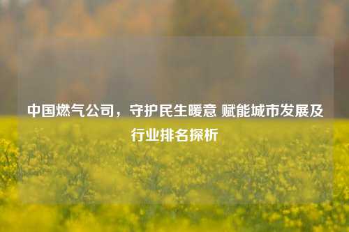 中国燃气公司,守护民生暖意 赋能城市发展及行业排名探析