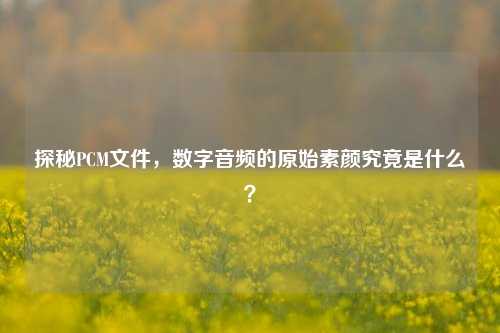 探秘PCM文件，数字音频的原始素颜究竟是什么？