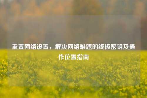 重置网络设置,解决网络难题的终极密钥及操作位置指南