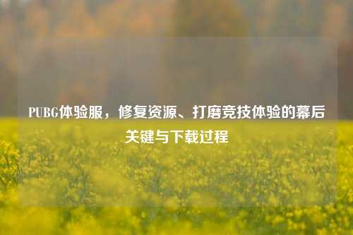 PUBG体验服，修复资源、打磨竞技体验的幕后关键与下载过程