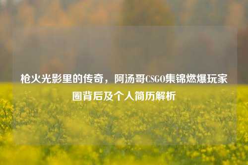 枪火光影里的传奇，阿汤哥CSGO集锦燃爆玩家圈背后及个人简历解析
