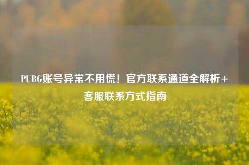 PUBG账号异常不用慌！官方联系通道全解析+客服联系方式指南