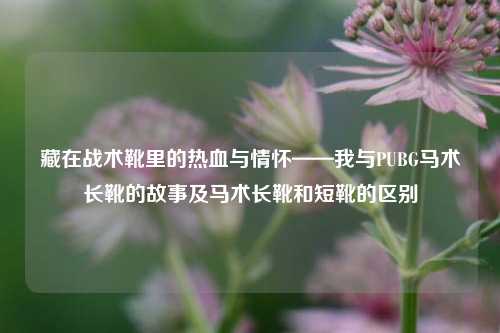 藏在战术靴里的热血与情怀——我与PUBG马术长靴的故事及马术长靴和短靴的区别