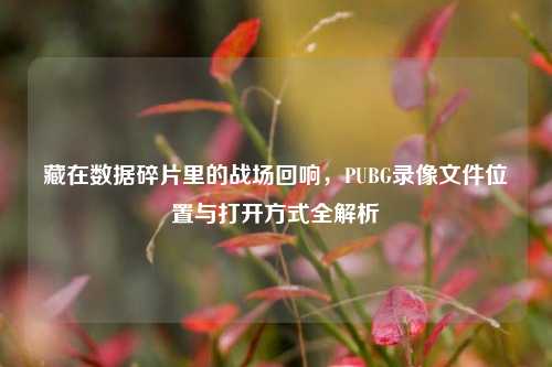 藏在数据碎片里的战场回响，PUBG录像文件位置与打开方式全解析