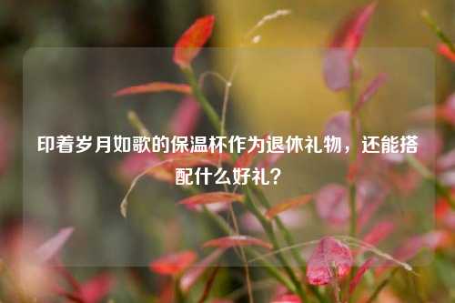 印着岁月如歌的保温杯作为退休礼物,还能搭配什么好礼?