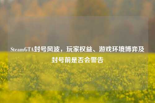 SteamGTA封号风波，玩家权益、游戏环境博弈及封号前是否会警告