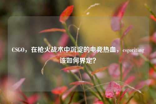 CSGO，在枪火战术中沉淀的电竞热血，csgoriting该如何界定？