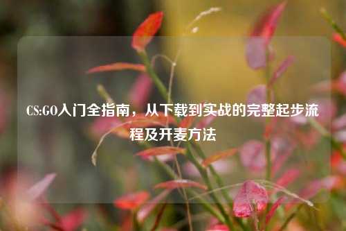 CS:GO入门全指南,从下载到实战的完整起步流程及开麦方法