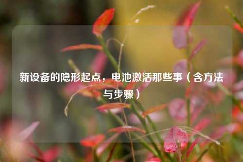 新设备的隐形起点，电池激活那些事（含方法与步骤）